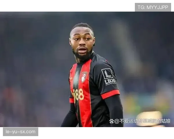 德甲转会市场风云再起：豪门激烈争夺新星，重磅加盟重塑争冠格局