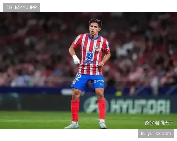 西蒙尼西甲制胜之道：解析马竞主帅打造球队竞争力的核心策略