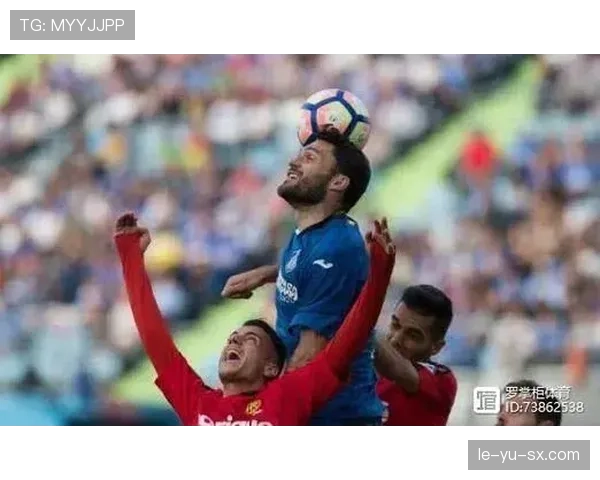 赫塔菲转会策略聚焦实用引援，注重性价比与即战力提升