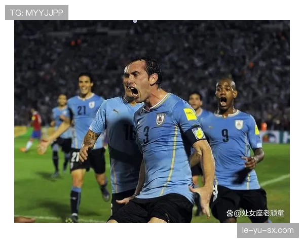 乌拉圭足球甲级联赛最新进展：赛程与积分榜更新